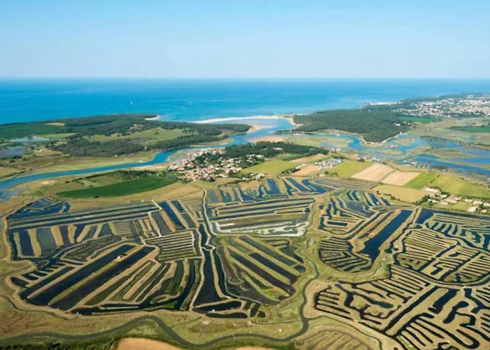 דירה 4-7 Pers Grande Terrasse Vue Golf Acces Piscine Et Ocean